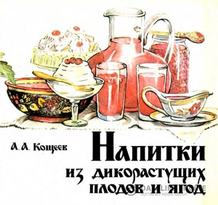 Обложка к А.А. Кощеев. Напитки из дикорастущих плодов и ягод (1991) PDF