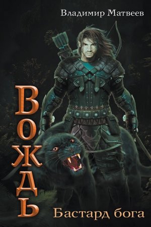 Обложка к Владимир Матвеев. Вождь. Сборник книг