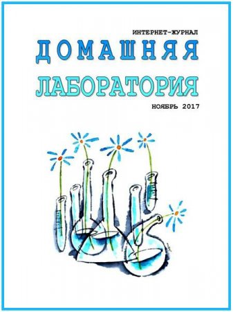Обложка к Домашняя лаборатория №11 (ноябрь 2017)