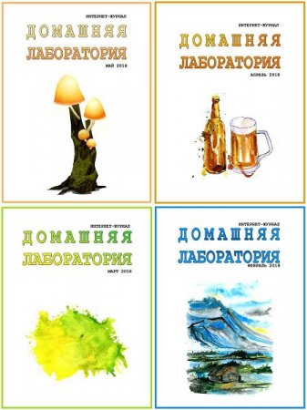 Обложка к Подшивка журнала - Домашняя лаборатория за 2018 год