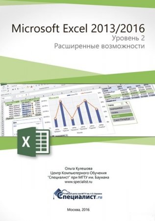 Обложка к Microsoft Excel 2016/2013. Уровень 2. Расширенные возможности