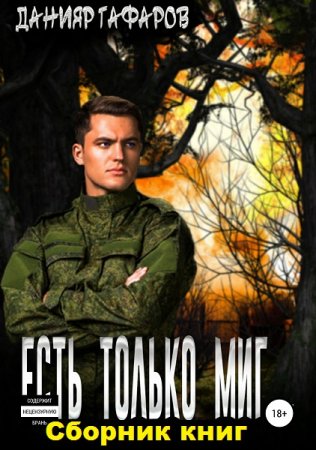 Обложка к Данияр Гафаров. Есть только миг… Сборник книг