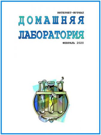 Обложка к Домашняя лаборатория №2 (февраль 2020)