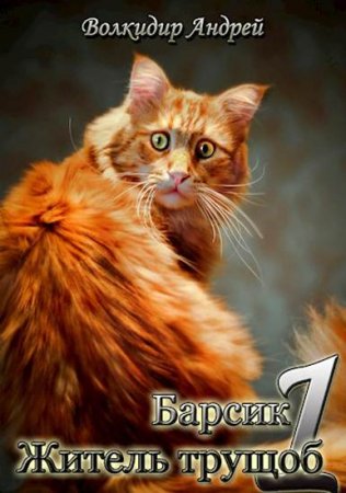 Обложка к Андрей Волкидир. Барсик. Сборник книг