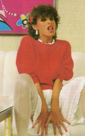 Обложка к Foxy Lady's Lovers 1-3 (1982)