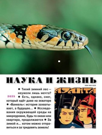Обложка к Наука и жизнь №1-2 (январь-февраль 2025)