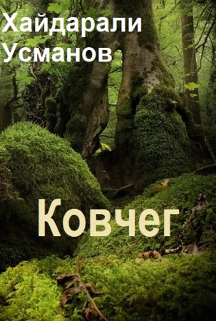 Обложка к Хайдарали Усманов. Цикл (10 книг) - Ковчег